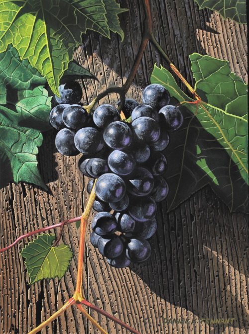 A Beautiful Fruit